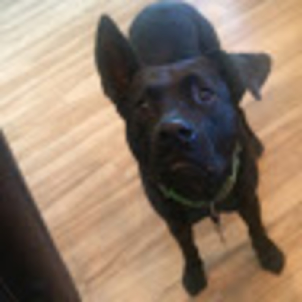 Meet your Posher, Kaitlyn